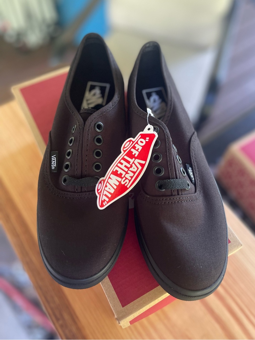 Vans Men’s Authentic Canvas Sneakers in brown and black